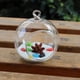 thumbnail image 2 of Envase 15cm Del Terrario Del Paisaje De La Botella Del Florero Del Florero Del Globo De Cristal Colgante, 2 of 4