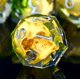 thumbnail image 4 of Set de Dados Froggod 7 Piezas Transparente con Calavera y Musgo en Resina, 4 of 7