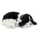 thumbnail image 1 of Juguete interactivo de peluche para mascotas Perfect Petzzz Cocker Spaniel, 1 of 3