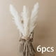thumbnail image 3 of Hierba De Pampa Seca Blanca Seca Natural Para Jarrón De Decoración De Boda De Fiesta 6 Uds Grande, 3 of 3