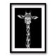 thumbnail image 1 of Cuadro Jirafa B/N 50x35cms, 1 of 1
