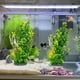 thumbnail image 5 of Plantas de Acuario TYZEMKO 30 cm Pack de 2 Decoración de Plástico, 5 of 6