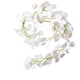 thumbnail image 1 of Eucalipto Artificial Hojas Vides Planta Colgante Pared Redondo Blanco Lechoso, 1 of 5