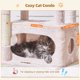 thumbnail image 2 of Cat Tree Taoqimiao MS029SP Jelly Pink para gatos de interior, 2 of 9