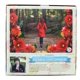 thumbnail image 3 of Puzle George Forest Walk de Debbie Macomber, 1000 piezas, 3 of 7