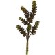 thumbnail image 1 of Flor artificial casi natural, suculenta, 13 cm, juego de 12, 1 of 3