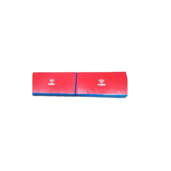 Colchonetas Para Caidas (Halterofilia) 100X50X20