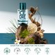 thumbnail image 5 of Perfume Solinotes Cedarwood Eau De Parfum, 50 ml, para hombre, 5 of 9
