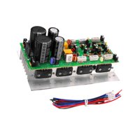 Bothyi - Módulo Diy De Amplificador Estéreo De Alta Potencia Con Chip 1494/3858 Para Altavoces De Vehículos