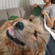 thumbnail image 3 of Golden Retriever anti-pilling, suave, ligera, esponjosa y acogedora de lujo para hogar y cocina – Perfecta para niños y adultos,120X80cm, 3 of 6