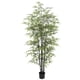 thumbnail image 2 of Bamboo Negro de 210 cm, 2 of 2