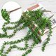 thumbnail image 3 of Plantas Colgantes Artificiales CEWOR Cadena de Perlas x4 - 60 cm, 3 of 6