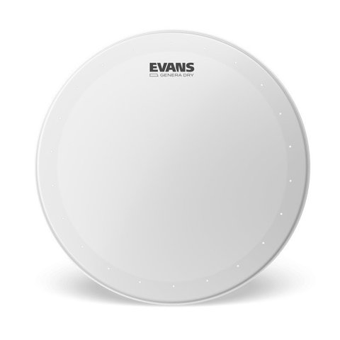 Parche 14¨ Gen Dry Evans