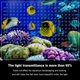 thumbnail image 4 of Divisor para Acuario LYL LEYOULAND 44 × 30 cm – Juego de 2, 4 of 7