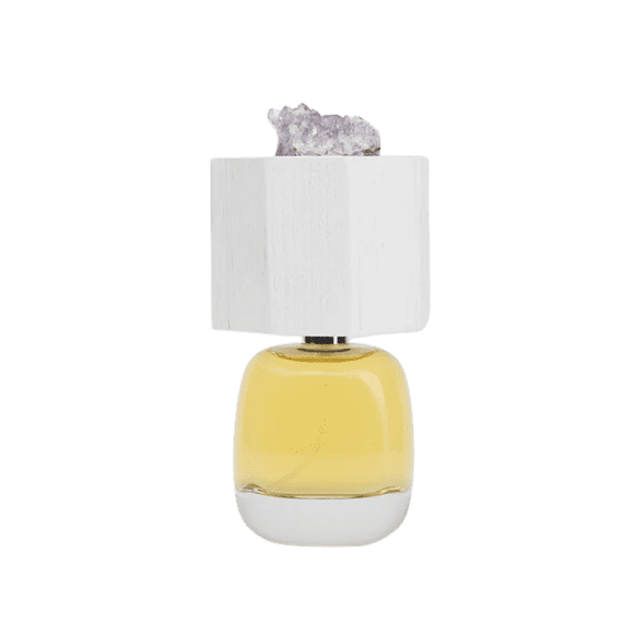 Perfume Delire De Voyage Lux Visionaria Unisex Edp 100 Ml