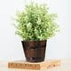 thumbnail image 3 of Macetero De Madera Tipo Barril Para Jardin Terraza Planta XS, 3 of 8
