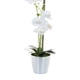 thumbnail image 2 of Planta Decorativa Artificial Orquidea Maceta Cono, 2 of 4
