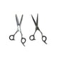 thumbnail image 2 of Set de Tijeras para Corte de Cabello Wmark ng-001 6, 2 of 3