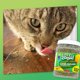 thumbnail image 5 of Mezcla de catnip KITTY KA-ZOOM Super Zoomies 104 g, 5 of 7