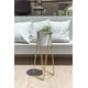 thumbnail image 1 of Gala Dorado con Maceta Blanca M, 1 of 3