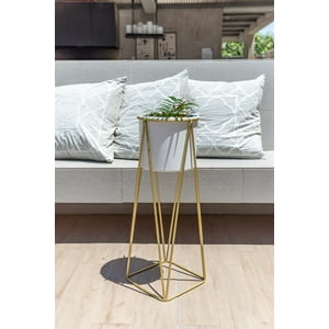 Kautiva - Gala Dorado Con Maceta Blanca M