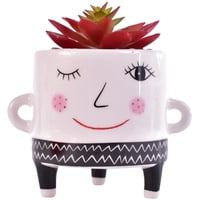 Mallorca - Suculenta Decorativa Isidora Roja Con Maceta