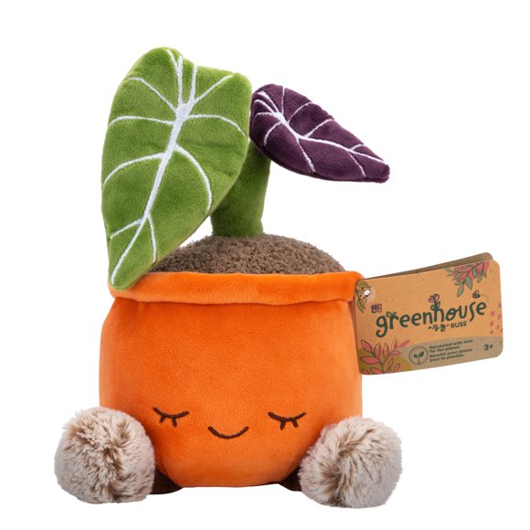 Peluche de Alocasia Black Velvet de 30 cm – Russ Greenhouse
