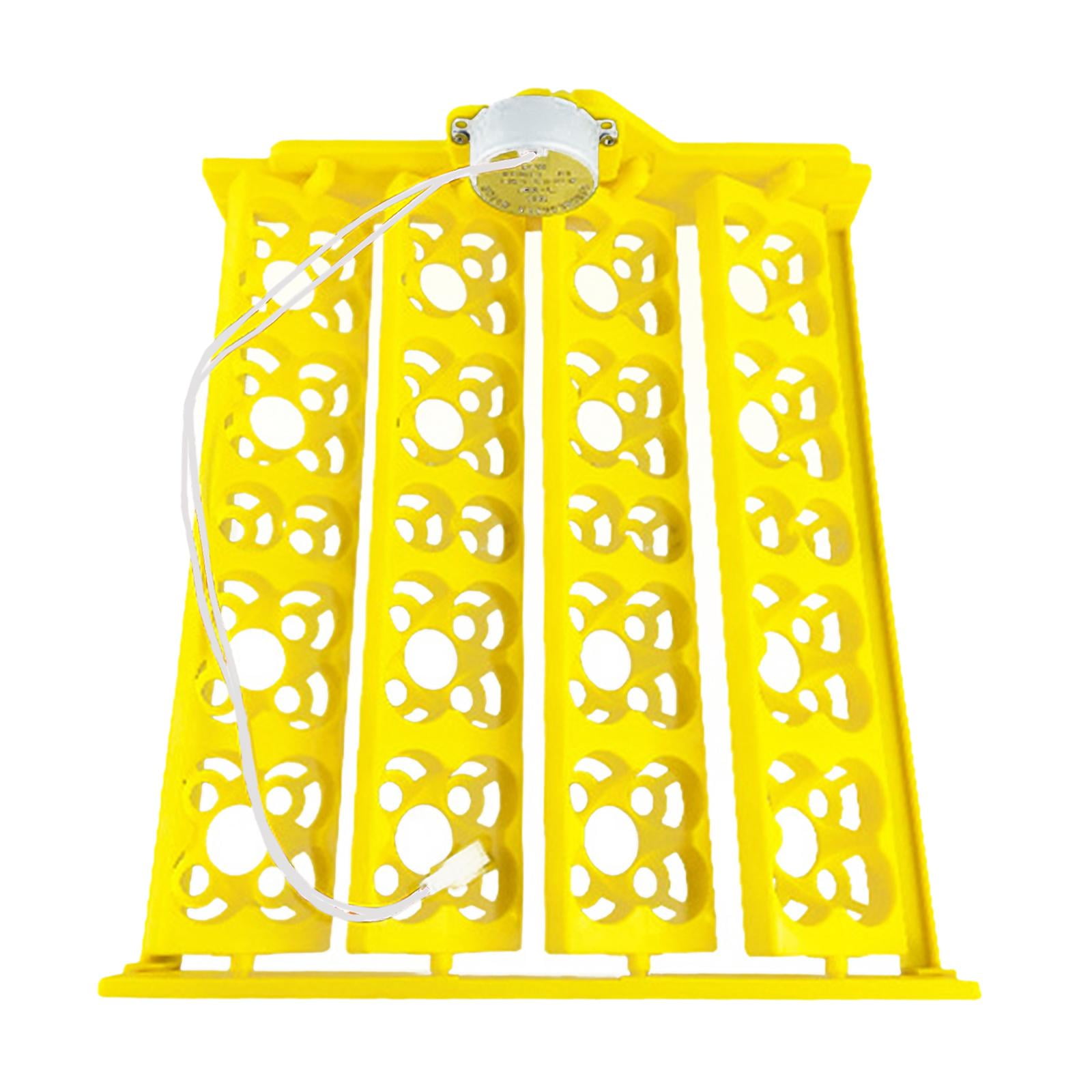 Magideal - Bandeja Para Incubadora De Huevos, Motor Giratorio Automático, Accesorios Para Bandeja Giratoria, Bandeja Giratoria Para 16 Huevos Para Aves De Corral Ac12v