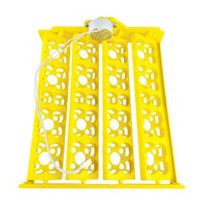 Magideal - Bandeja Para Incubadora De Huevos, Motor Giratorio Automático, Accesorios Para Bandeja Giratoria, Bandeja Giratoria Para 16 Huevos Para Aves De Corral Ac12V