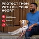 thumbnail image 2 of HEARTGARD Plus para prevenir la enfermedad del gusano del corazón para perros, 2 of 9