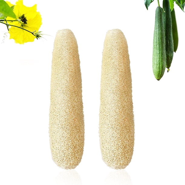 Esponjas de lufa naturales ecológicas, exfoliantes orgánicos para ducha, exfoliantes corporales, para rostro y espalda, para hombres, mujeres y adultos (6 unidades)