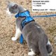 thumbnail image 3 of Arnés para gatos Mr. Peanut's PurrTrek Reflective con correa Blue S, 3 of 9