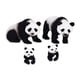 thumbnail image 1 of Familia de pandas, 1 of 2