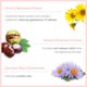 thumbnail image 4 of Mascarilla Calmante Yonka Sensitive 50 ml, 4 of 9