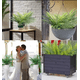 thumbnail image 3 of Rama palma tropical hojas decoración, 3 of 3