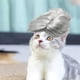 thumbnail image 3 of Pelucas Para Disfraces De Perros, Pelucas Para Gatos, Sombreros Para Perros, Pelucas Para Cosplay De Mascotas De Halloween Para Cachorros, 3 of 7