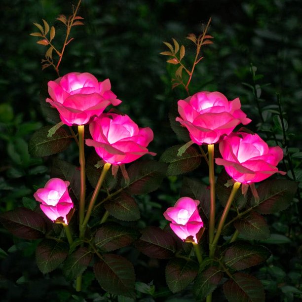 Luces solares para jardín, decoración navideña, luces solares con rosas y 6 rosas, impermeables, para jardín, patio, camino, paquete de 2