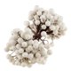 thumbnail image 5 of Mini Fruta Artificial De 40 Cabezas, Bayas, Decoración Navide?a Para Bodas, Blanco, 5 of 5