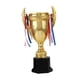 thumbnail image 1 of Premio Trofeo Copa Participación Creativa Trofeo Para Torneos Recompensas De Fiesta 17,7 Cm, 1 of 5