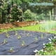 thumbnail image 4 of Malla Antimaleza, Cubresuelo (1m De Ancho X 100m De Largo), 4 of 9