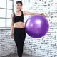 thumbnail image 3 of Pelota de ejercicio, pelota de equilibrio con bomba para yoga, pilates, estiramientos, fitness, gimnasio en casa, entrenamiento., 3 of 5