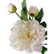 thumbnail image 2 of Peonia Con Boton Rosada Clara 84cm Con Acabado Natural, 2 of 3