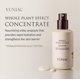thumbnail image 2 of Suero Facial YUNJAC Efecto Planta Completa 40 ml Hidratante, 2 of 7