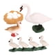 thumbnail image 4 of Animales Realistas Ciclo De Vida Modelo Ciclo De Crecimiento De Juguete Juguetes Para Ni?os Cisne Blanco, 4 of 5