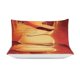 thumbnail image 4 of The Lion King Cartoon Bedding Sets Ultra Soft Skin-Friendly Duvet Cover 3 Piece, Cute Comforter Cover Bed Set for Boys Girls Kids, 4 of 5
