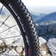 thumbnail image 4 of Neumatico 29x2.20 Arisun Mount Graham Kevlar TR Bicicleta, 4 of 5