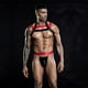 thumbnail image 3 of Disfraz Erótico Conjunto Masculino Rojo y Negro, 3 of 3