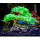 thumbnail image 2 of Árbol Bonsái Artificial UNEAK de 18 cm – Decoración para Acuario, 2 of 6