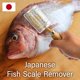 thumbnail image 2 of Removedor de Escamas de Pescado YAMASAN KYOTO UJI de Latón y Madera, 2 of 7