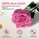 thumbnail image 5 of Flor preservada Vryblos Forever con forma de corazón, 16 rosas rosadas, 5 of 7